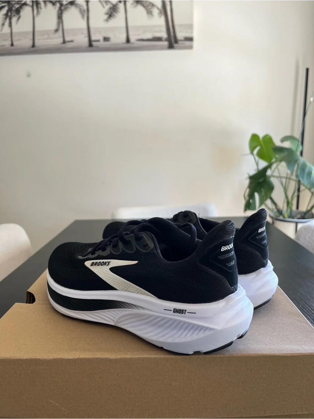 Brooks Black & White Ghost Running Shoes